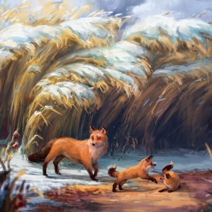 Foxes in the Snow - Art Print